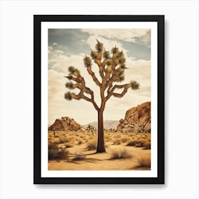  Photograph Of A Joshua Tree In Rocky Mountains 2 Art Print