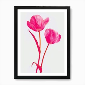 Hot Pink Tulip 4 Art Print