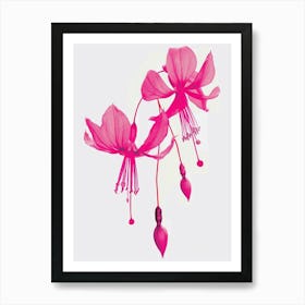 Hot Pink Fuchsia 1 Art Print
