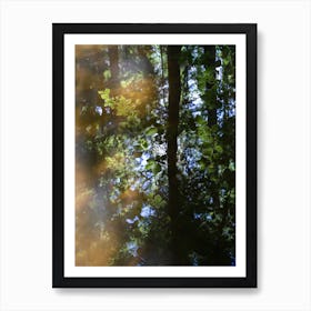 Reflection of beech leaves in calm water Art Print