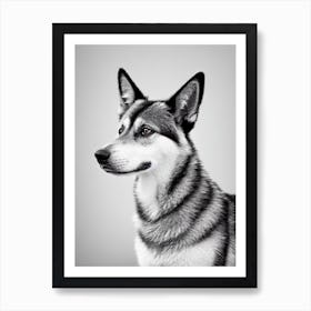 Norwegian Elkhound B&W Pencil Dog Art Print