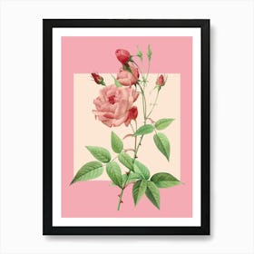 Pink Roses Art Print