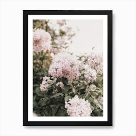 Spring Hydrangea Poster