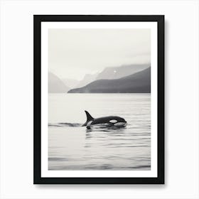 Tranquil Ocean And Orca Whale Black & White Photography 1 Art Print