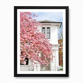 Pink Spring Doorway Art Print