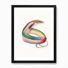 Brazilian Rainbow Boa Vintage Art Print