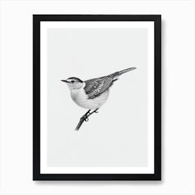 Dipper B&W Pencil Drawing 1 Bird Art Print