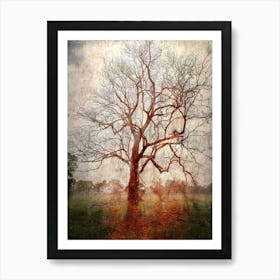 Gnarled Autumn Tree Art Print