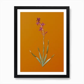 Vintage Bugle Lily Botanical on Sunset Orange n.0141 Art Print