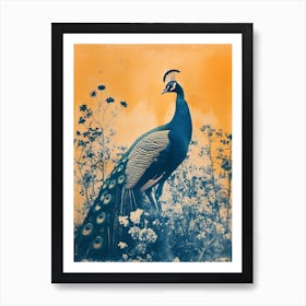 Vintage Orange & Blue Peacock In The Wild 2 Art Print