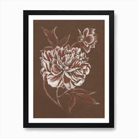 Drawing Art 'Sepia Peony', Aga Szafranska Art Print