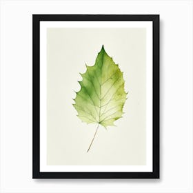 Sycamore Leaf Minimalist Watercolour 4 Art Print