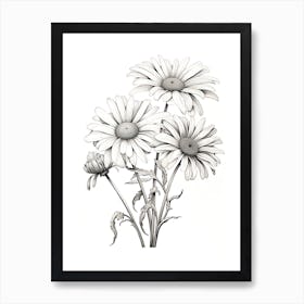 Daisies Flower Vintage Botanical 1 Art Print