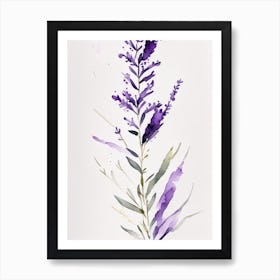 Violet Herb Minimalist Watercolour 3 Art Print