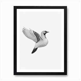 Canada Goose B&W Pencil Drawing 1 Bird Art Print