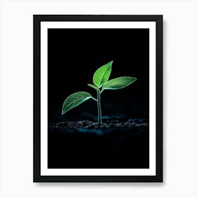 Young Green Plant On Black Background 3 Art Print