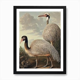 Ostrich Haeckel Style Vintage Illustration Bird Art Print