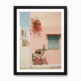 donkey in the island Art Print