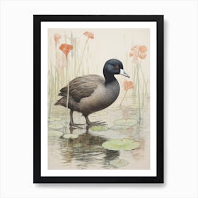 Vintage Bird Drawing Coot 1 Art Print