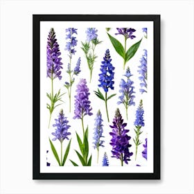 Nature Pattern Isolate White Arrangement Purple Flat Floral Blue Natural Herbal Medicine (13) Art Print