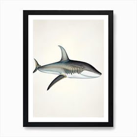 Blacktip Shark Vintage Art Print