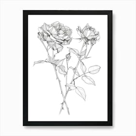 Roses Sketch 2 Art Print