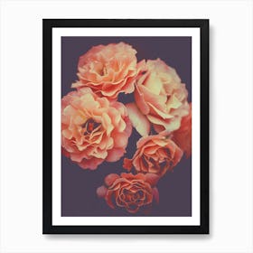 Roses Flowers Decor Art Print