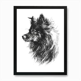 Malmute Furry Dog Line Sketch 3 Art Print