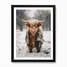 scotish cattle in the snow Art Print