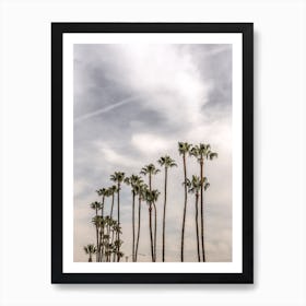 Palm Trees II Art Print