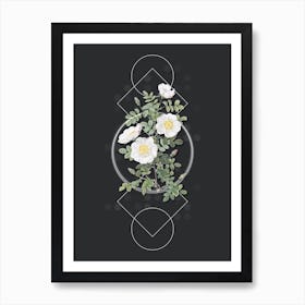 Vintage White Burnet Roses Botanical with Geometric Line Motif and Dot Pattern Art Print