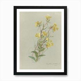 Yellow Flowers 3 Art Print