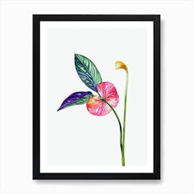 Anthurium Watercolour Flower Art Print