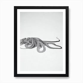 Pacific Octopus Black & White Drawing Art Print