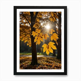 Autumn Leaves In The Park Art Print