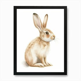 Netherland Dwarf Rabbit Kids Illustration 1 Art Print