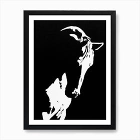 Horse in Shadow Art Print