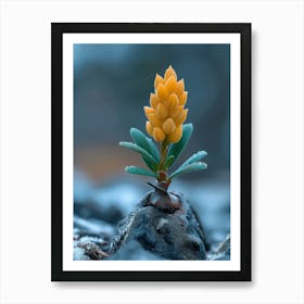 Flower Blooming On Rocks Art Print