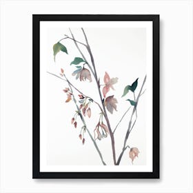 Cherry Blossom 18 Art Print