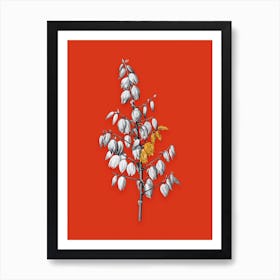 Vintage Adams Needle Black and White Gold Leaf Floral Art on Tomato Red n.0411 Art Print