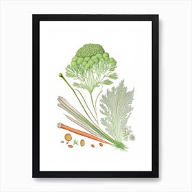 Celery Seed Spices And Herbs Pencil Illustration 1 Art Print