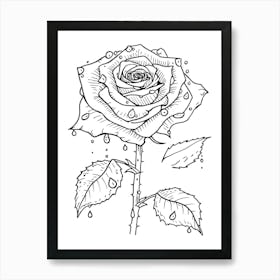 Rose Dew Line Drawing 1 Art Print