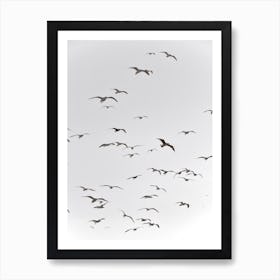 Fly High Art Print