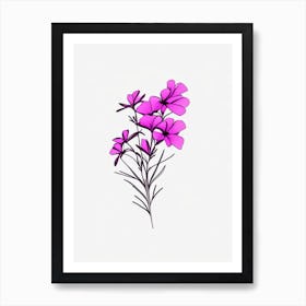 Phlox Floral Minimal Line Drawing 2 Flower Art Print