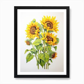 Sunflowers Flower Vintage Botanical 0 Art Print