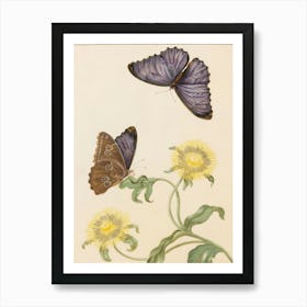 Butterflies On Dandelion Art Print