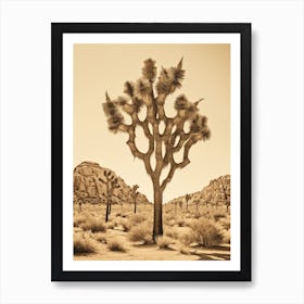 Photograph Of A Joshua Trees In Mojave Desert 2 Art Print