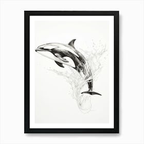 Orca Whale Pencil Line Drawing Art Print