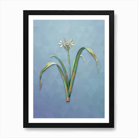 Vintage Small Flowered Pancratium Botanical Art on Summer Song Blue n.0871 Art Print