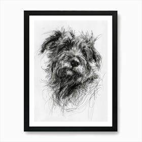 Pyrenean Shepherd Dog Charcoal Line 1 Affiche